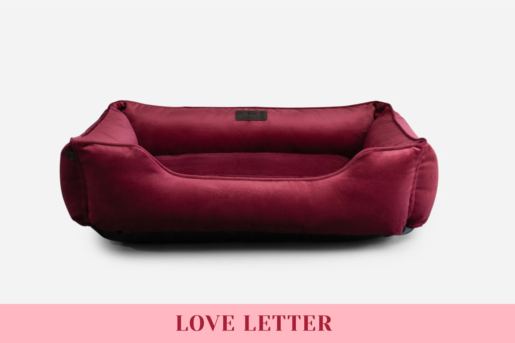 Chester & Lee | Vibrant Velvet Sleeper Dog Bed Wine