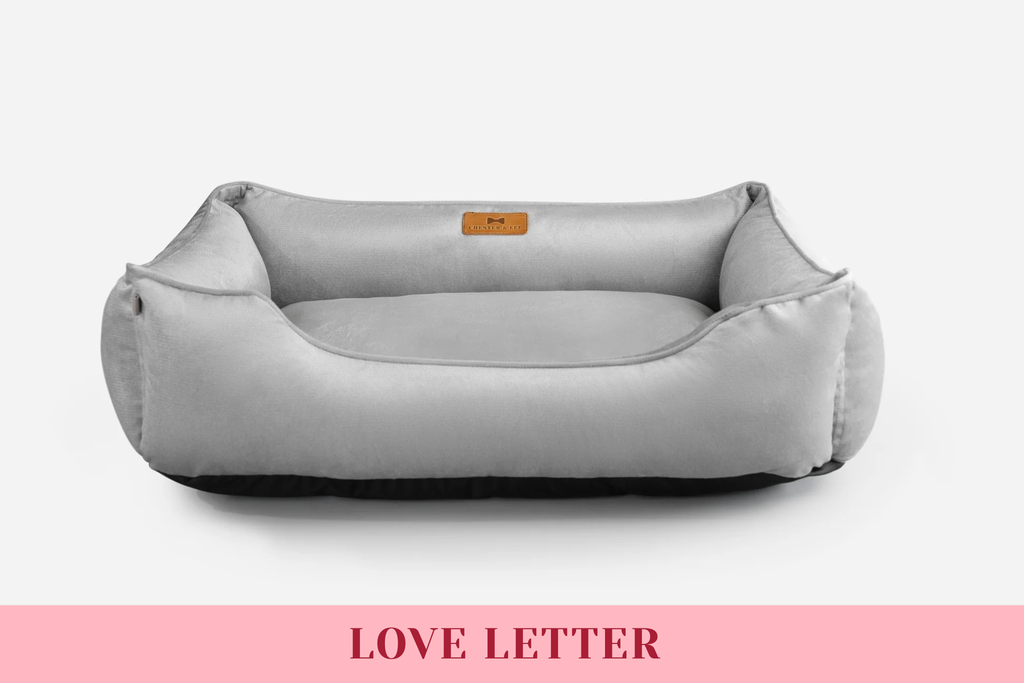 Chester & Lee | Classic Velvet Sleeper Dog Bed Gray