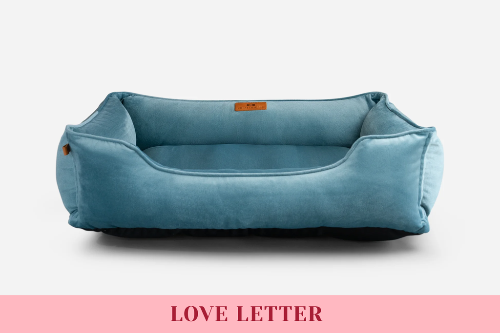 Chester & Lee | Vibrant Velvet Sleeper Dog Bed Tiffany