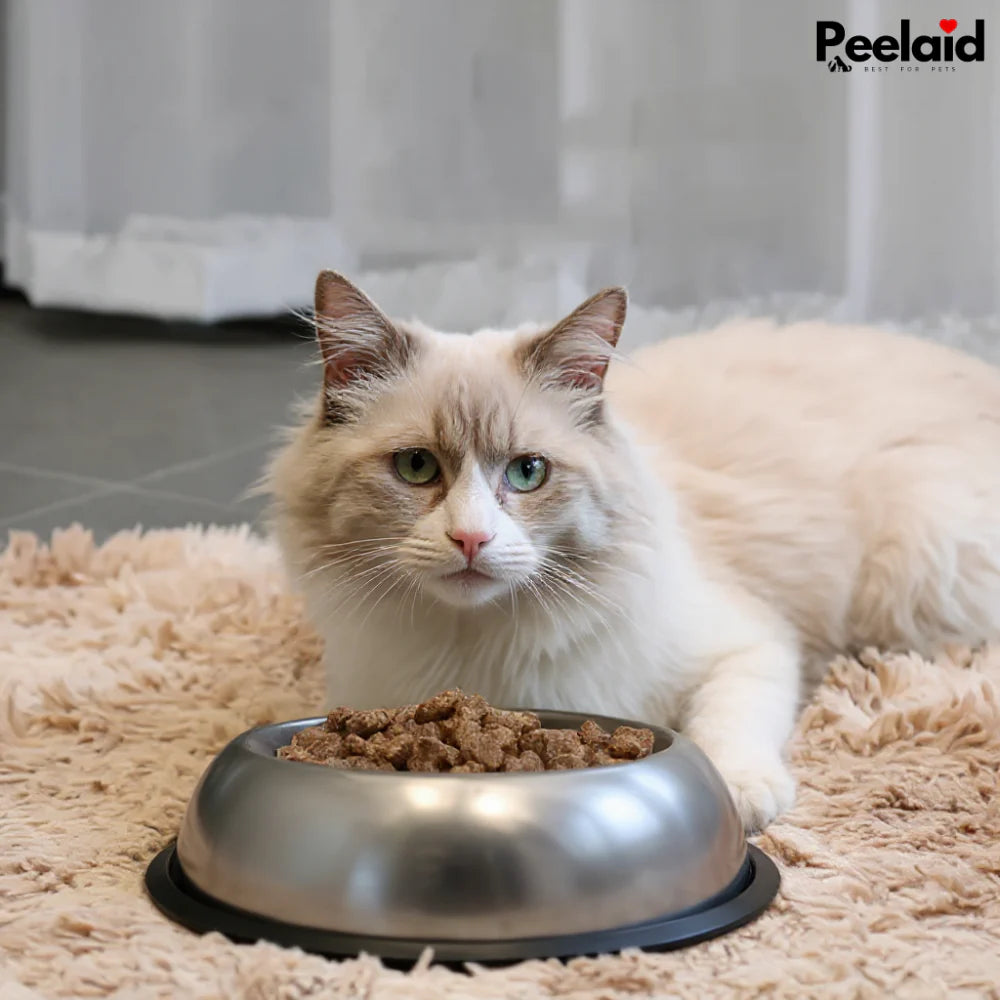 Peelaid™ Premium Stainless Steel Pet Bowl