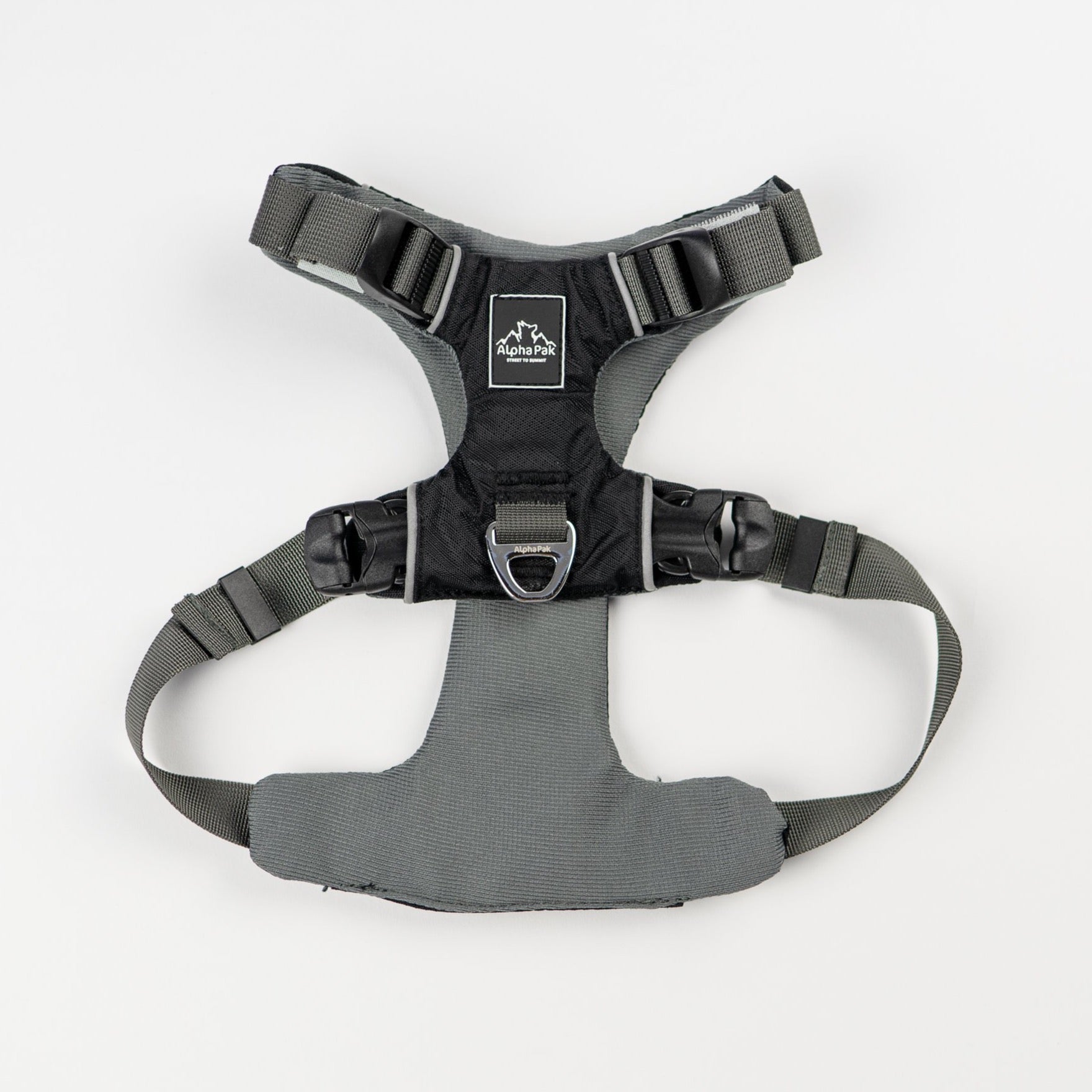 Everyday Adventure Dog Harness