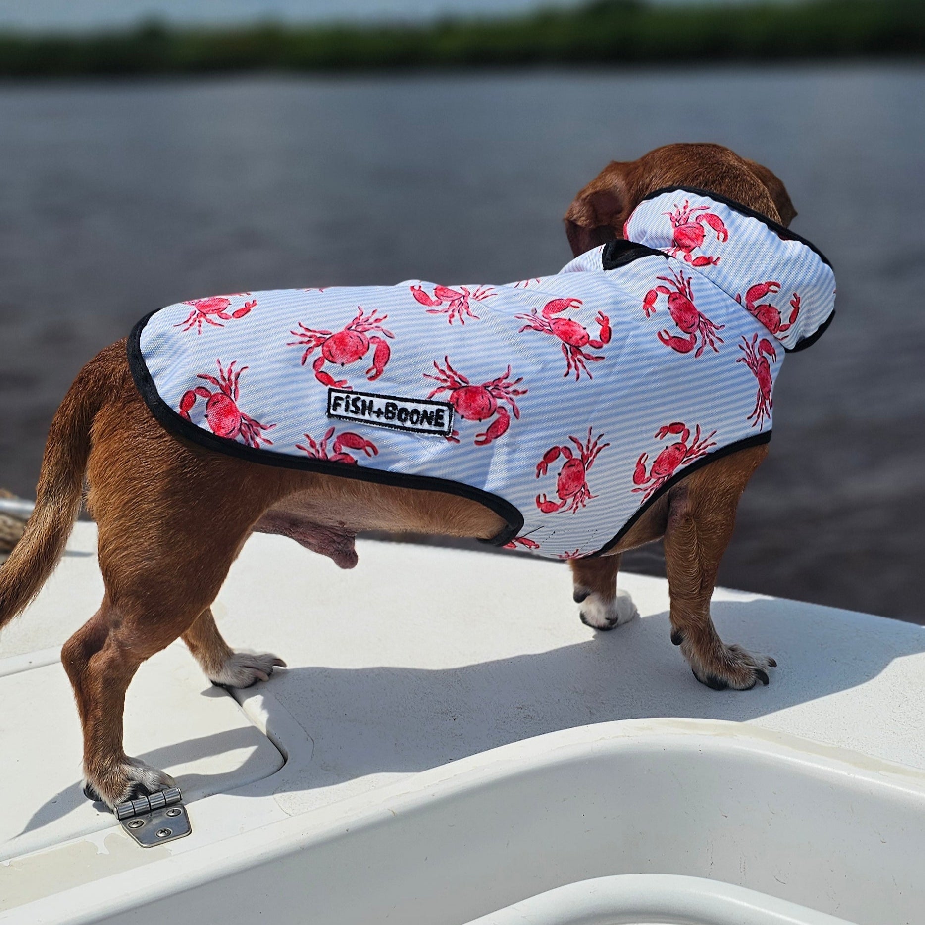 Fish+Boone Lowcountry Proper Dog Coat