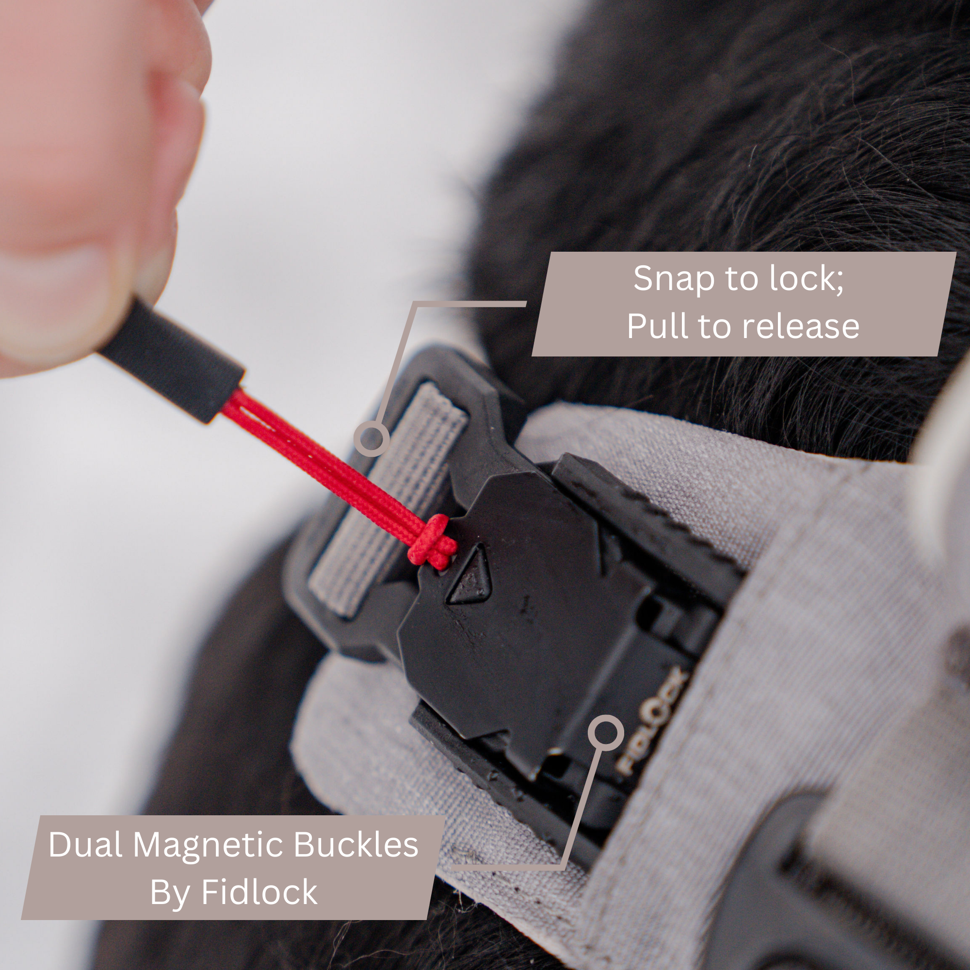 UP DOG Magnetic Dog Harness with Handle (Easy On, No-Pull Design)