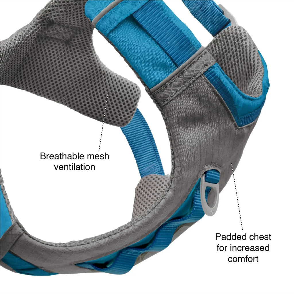 Journey Air Dog Harness, Vest Harnesses for Dogs, Pet Hiking Harness for Running & Walking, Reflective, Padded, Includes Control Handle, No Pull Front Clip (Orange, Small)