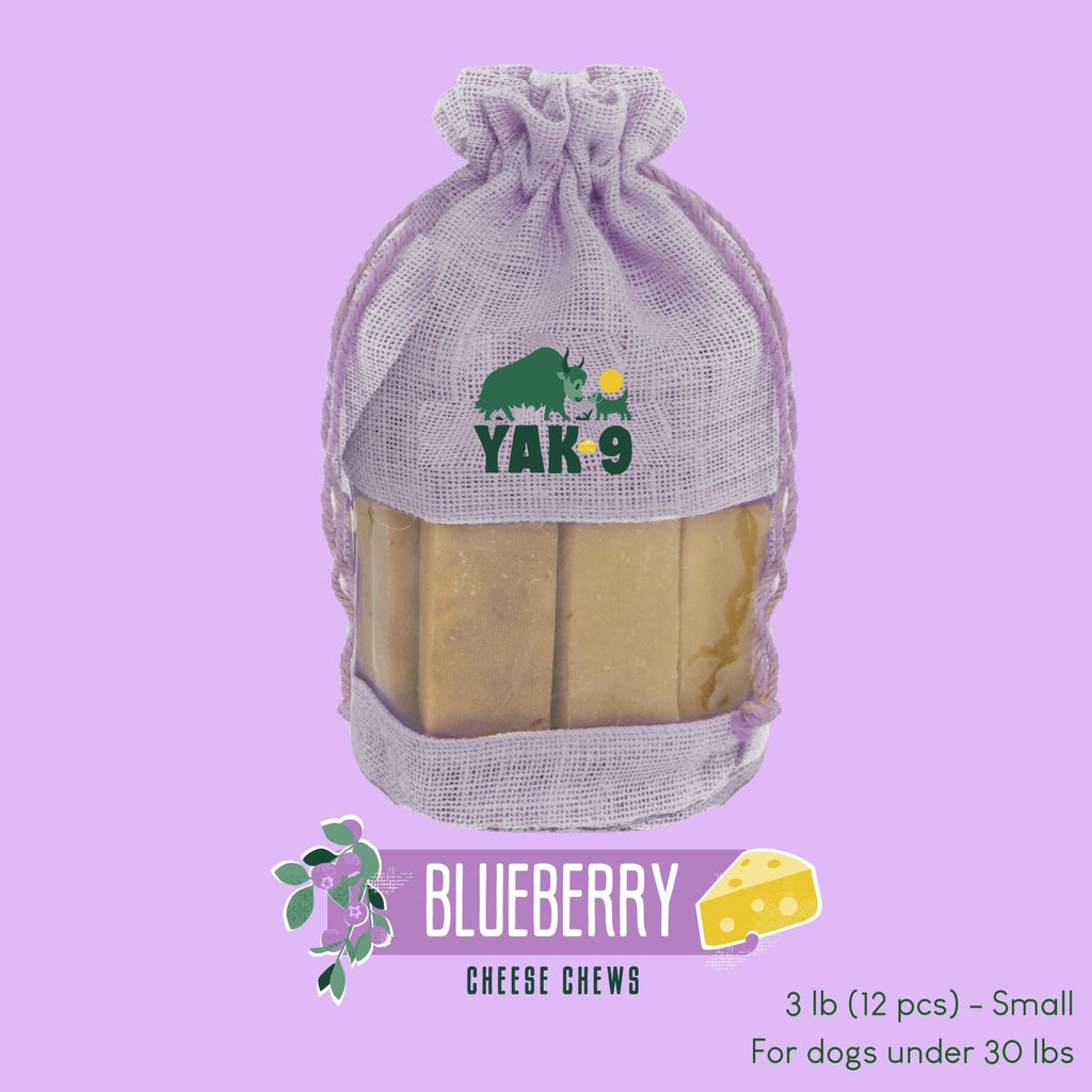 Blueberry Cheese Chews for Dogs