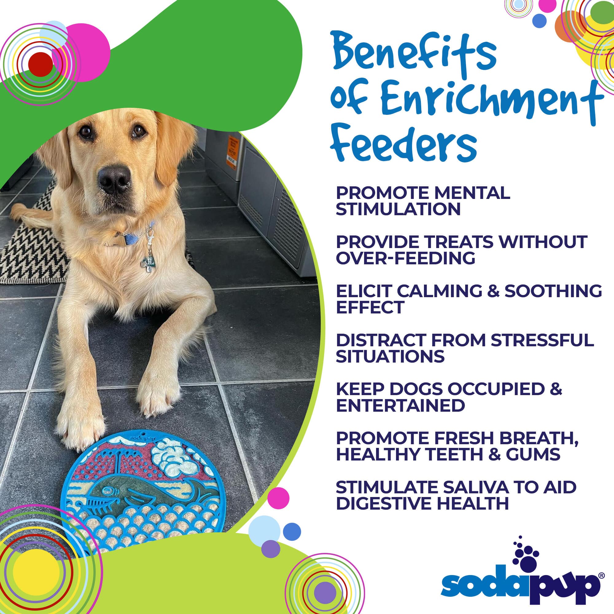 Whale eMat - Enrichment Lick Mat for Dogs - with Suction Cups | Whale Design | USA Made