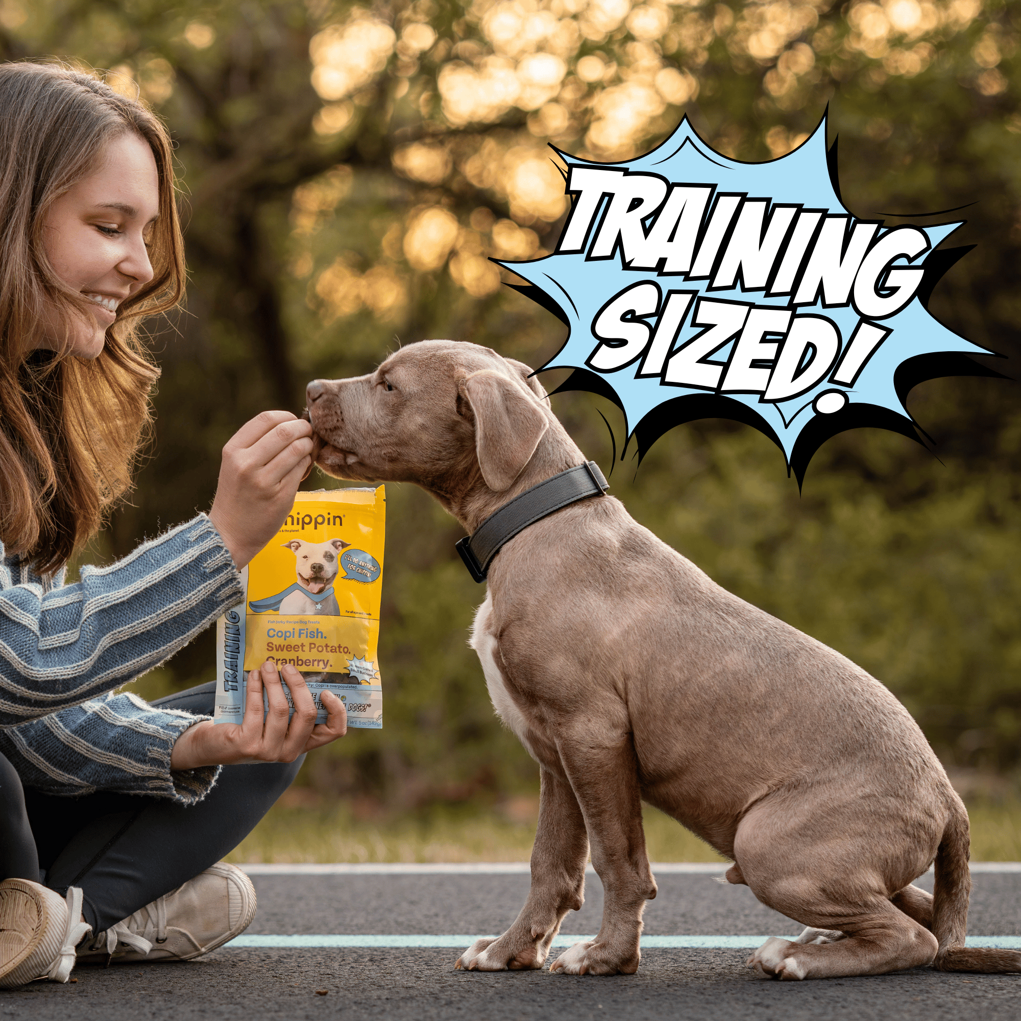 Fish & Sweet Potato Training Bites, 4-Pack