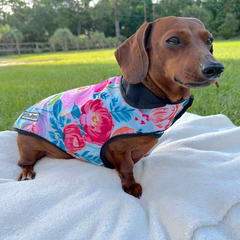 Fish+Boone Southern Bloom Dog Coat