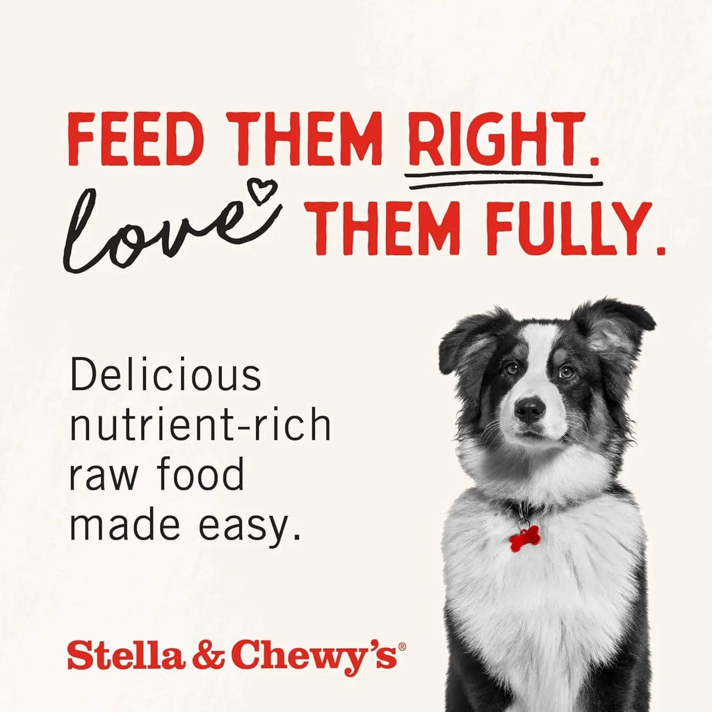 Freeze-Dried Raw Chicken Breast Dog Treats - Single Ingredient, No Additives - Premium Training Treats - Perfect for Picky Eaters - 2.75Oz Bag