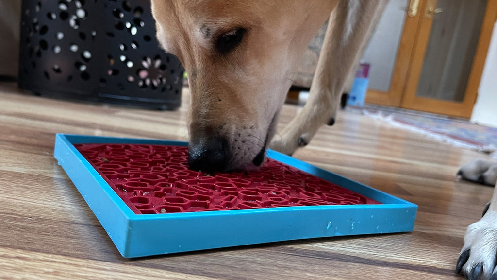 Vino Dog eMat - Enrichment Lick Mat For Dogs | Wine-Inspired Design| SodaPup