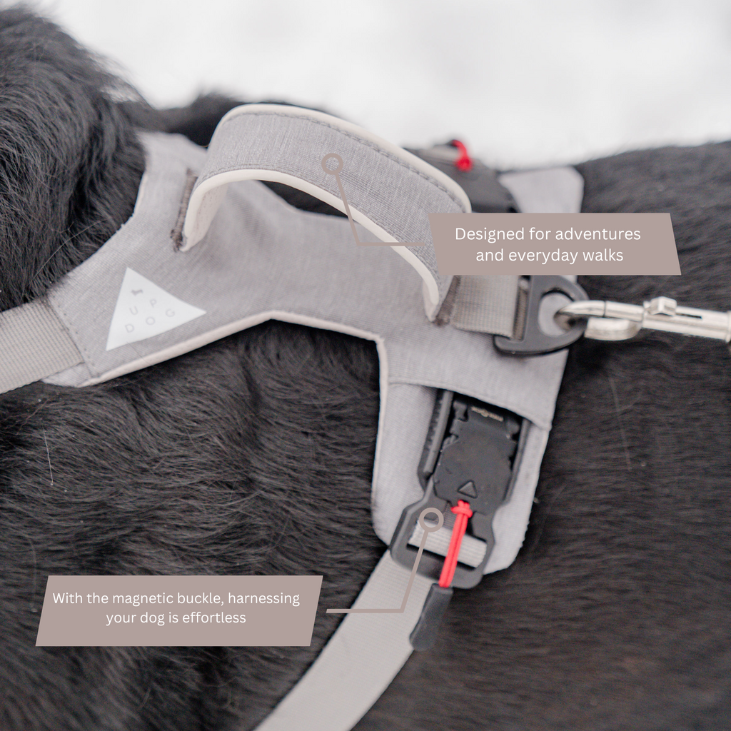 UP DOG Magnetic Dog Harness with Handle (Easy On, No-Pull Design)