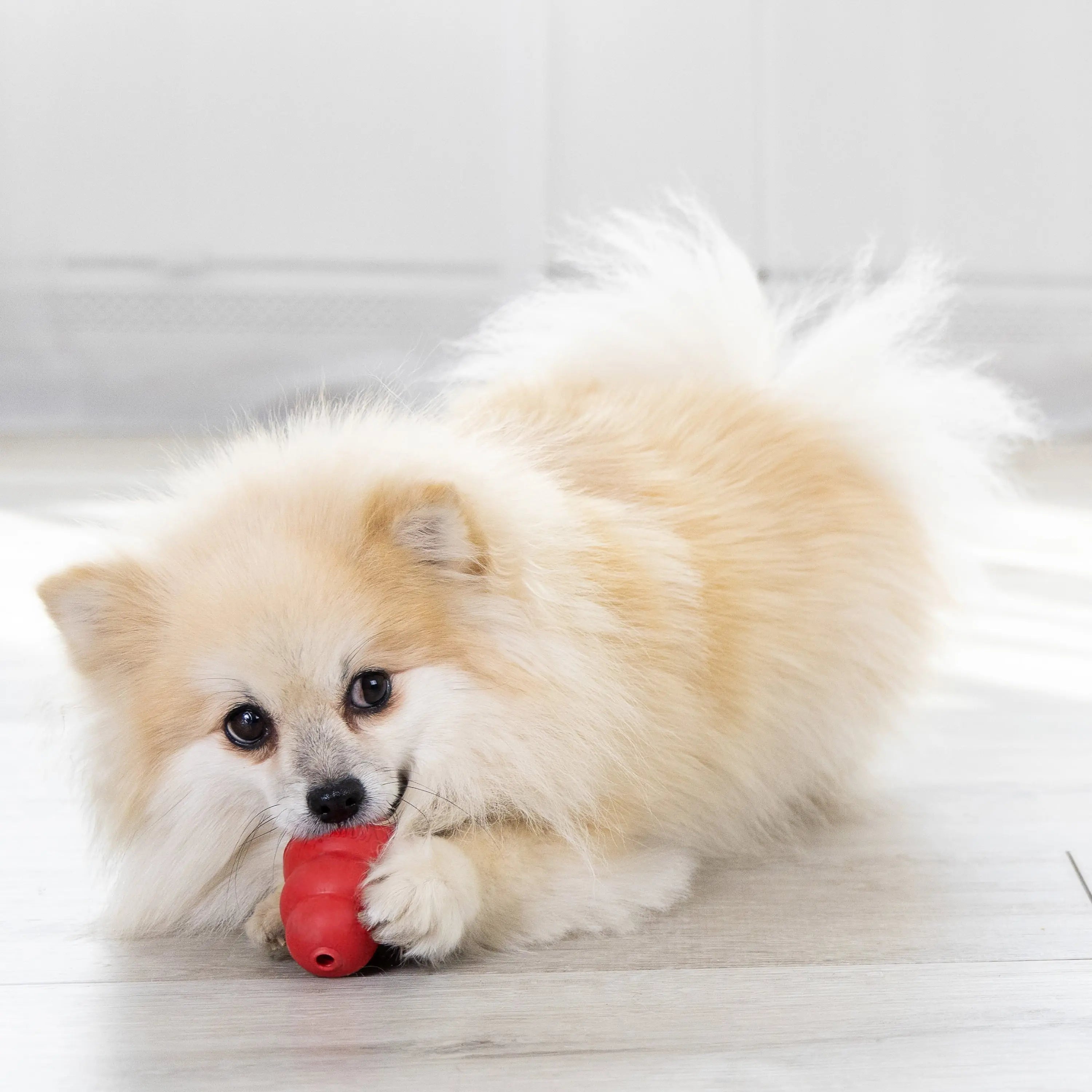 ® Classic Stuffable Dog Chew Toy, Small