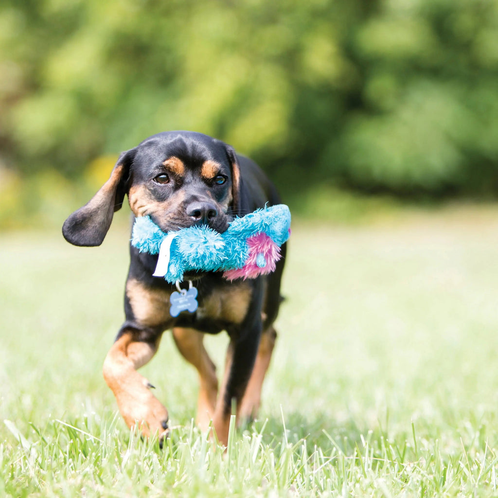 KONG ® Cozie™ Marvin the Moose Dog Toy, Small