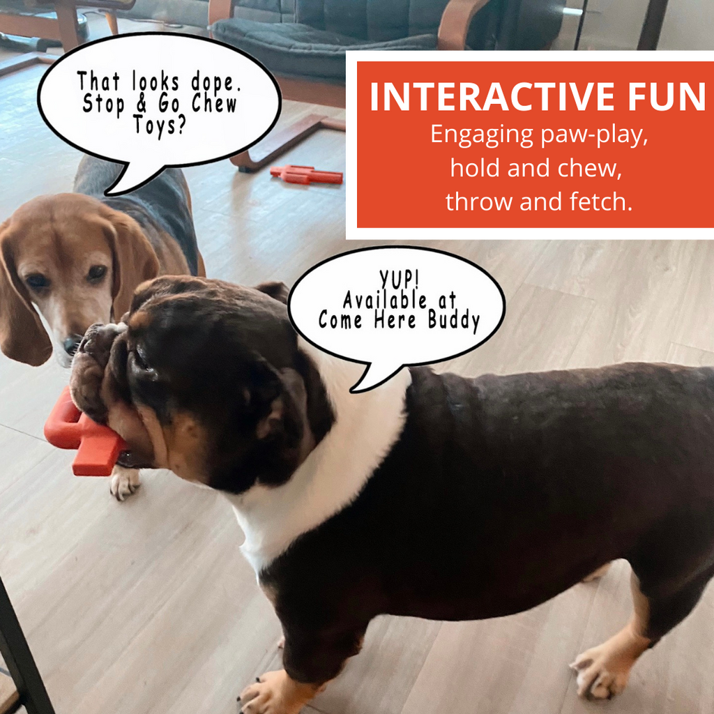 Dog Chew Toy