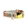Aztec Southwestern Woven Stripe Buckle & Martingale Collar