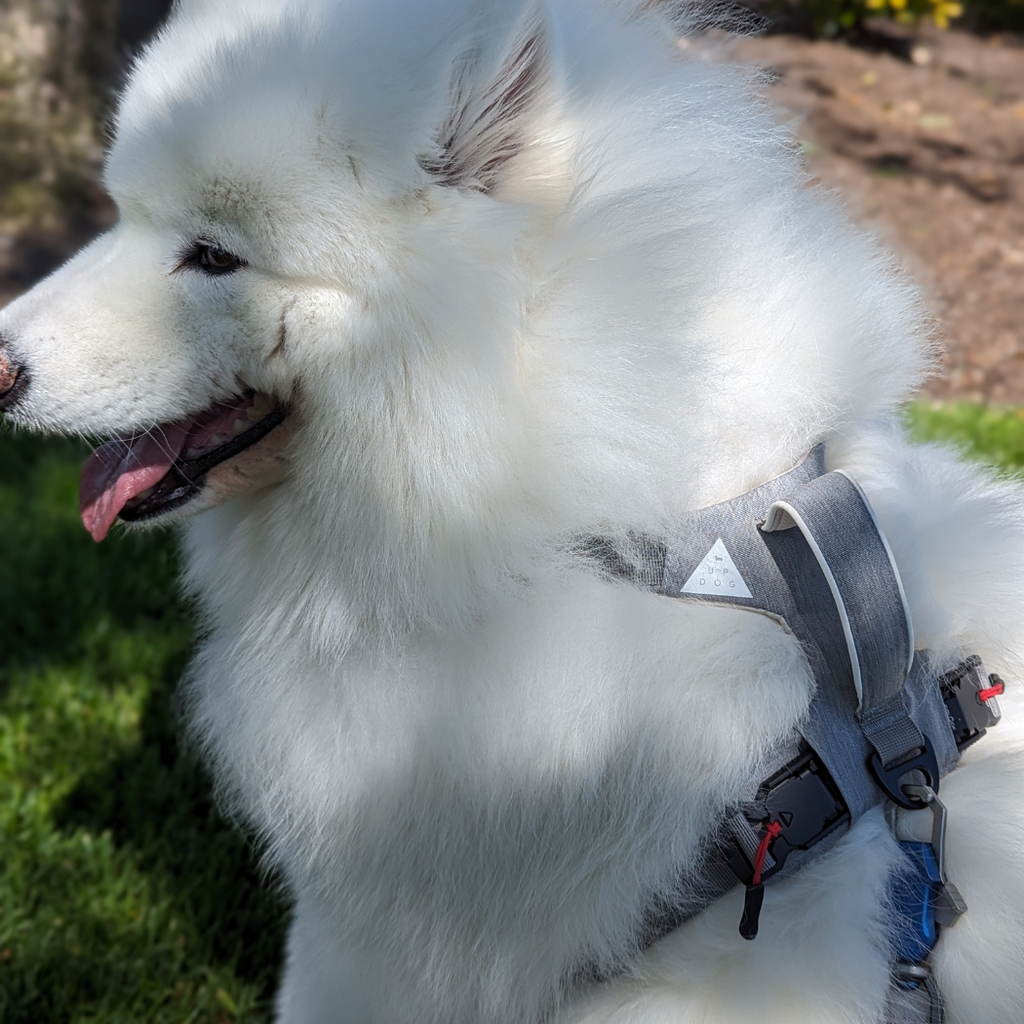 UP DOG Magnetic Dog Harness with Handle (Easy On, No-Pull Design)