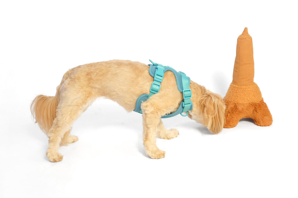 La Tour Eiffel Nose Work Dog Toy / Enrichment Toy