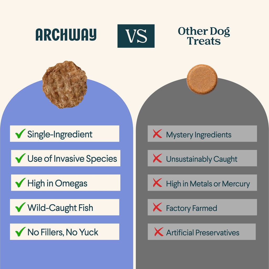Silver Carp For Dogs