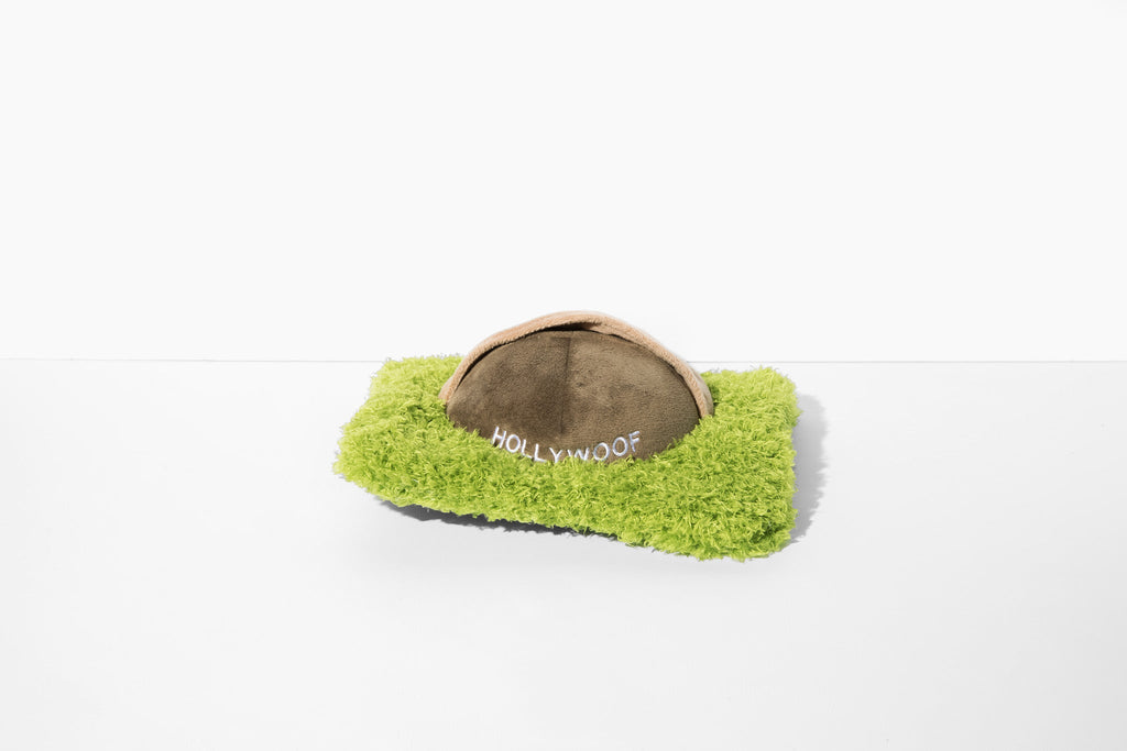 Hollywoof Nose Work Dog Toy