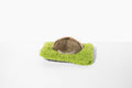 Hollywoof Nose Work Dog Toy