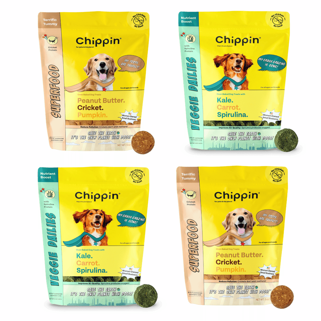 Crunchy Dog Biscuit Bundle, 4-Pack