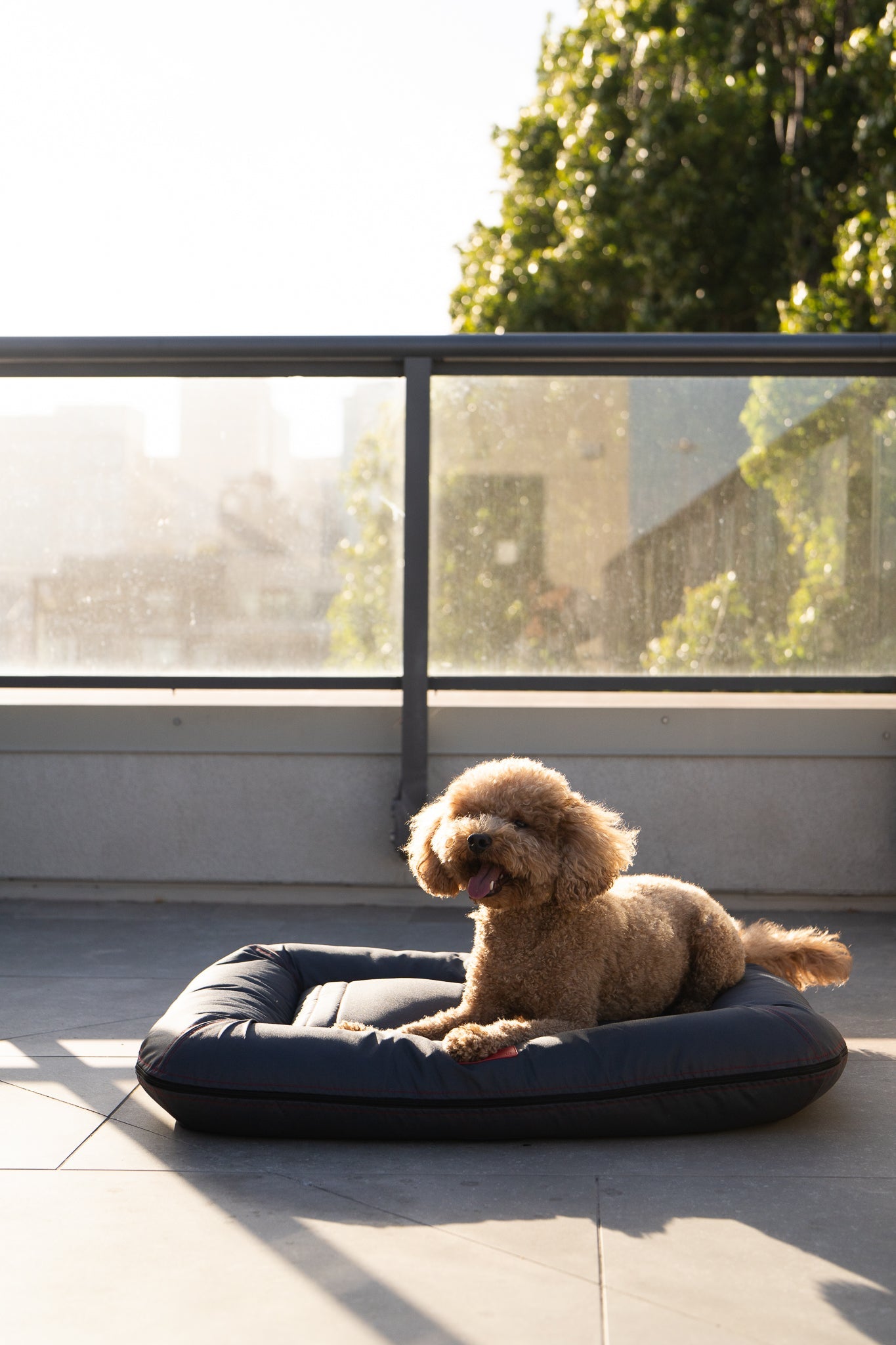 Chester & Lee | Waterproof Lounger Dog Bed Gray