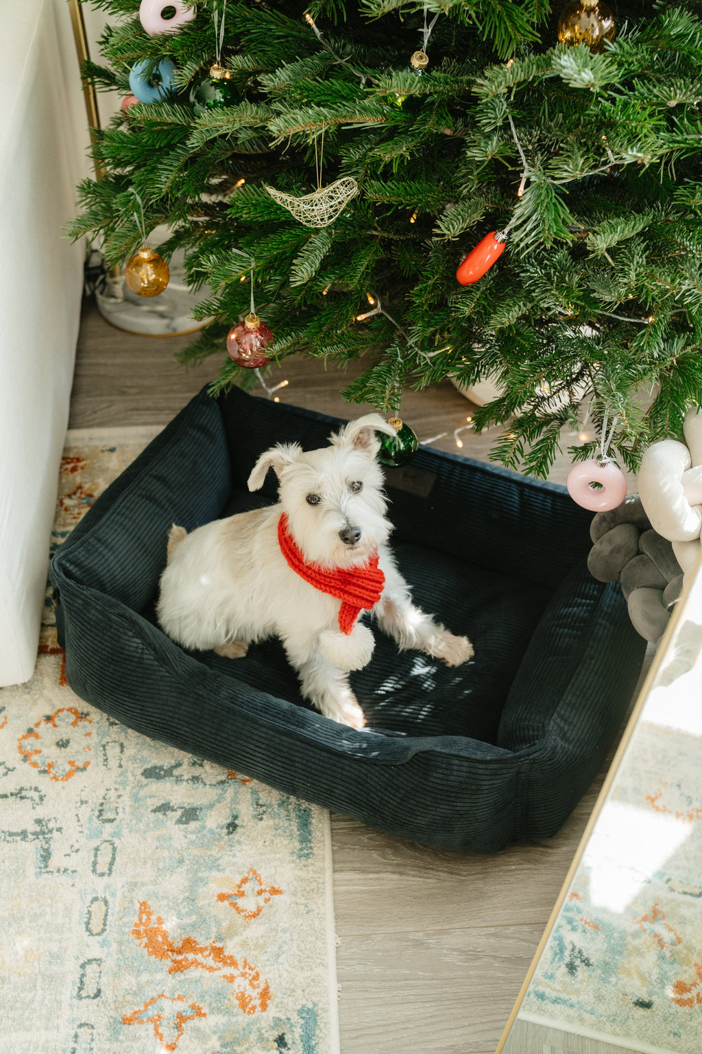 Chester & Lee | Fancy Corduroy Sleeper Dog Bed Graphite