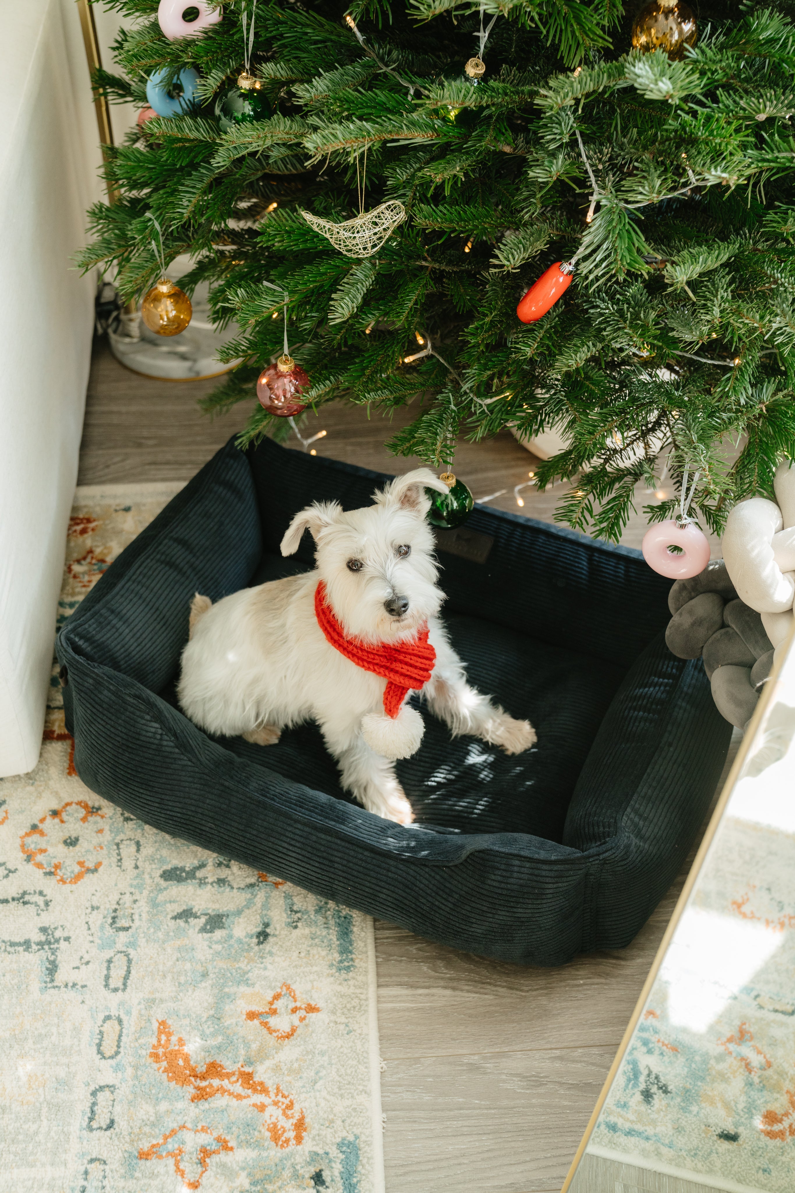Chester & Lee | Fancy Corduroy Sleeper Dog Bed Graphite
