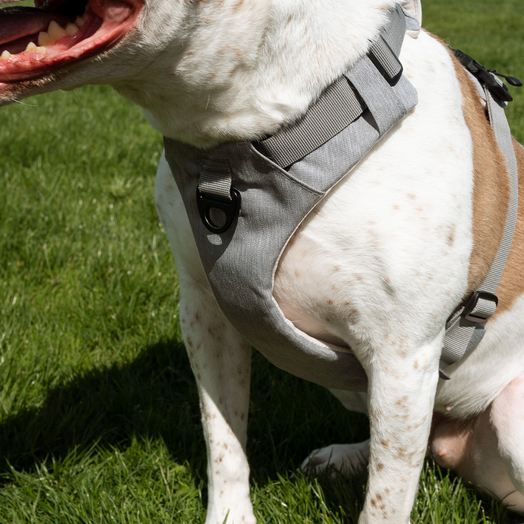 UP DOG Magnetic Dog Harness with Handle (Easy On, No-Pull Design)