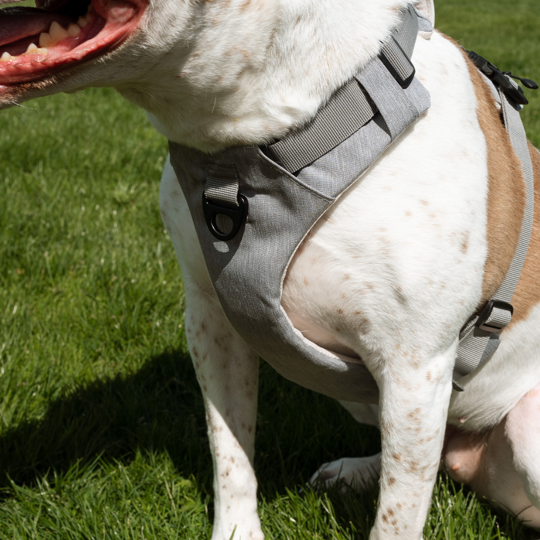 UP DOG Magnetic Dog Harness with Handle (Easy On, No-Pull Design)