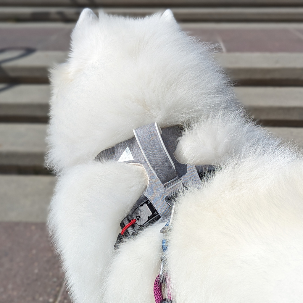 UP DOG Magnetic Dog Harness with Handle (Easy On, No-Pull Design)