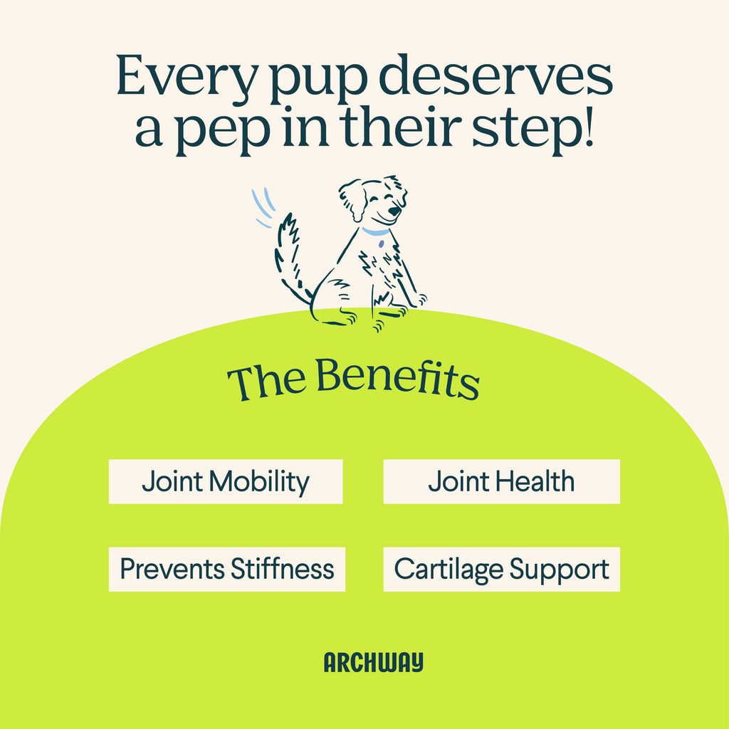 Hip & Joint Health