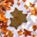Star Spice Treat