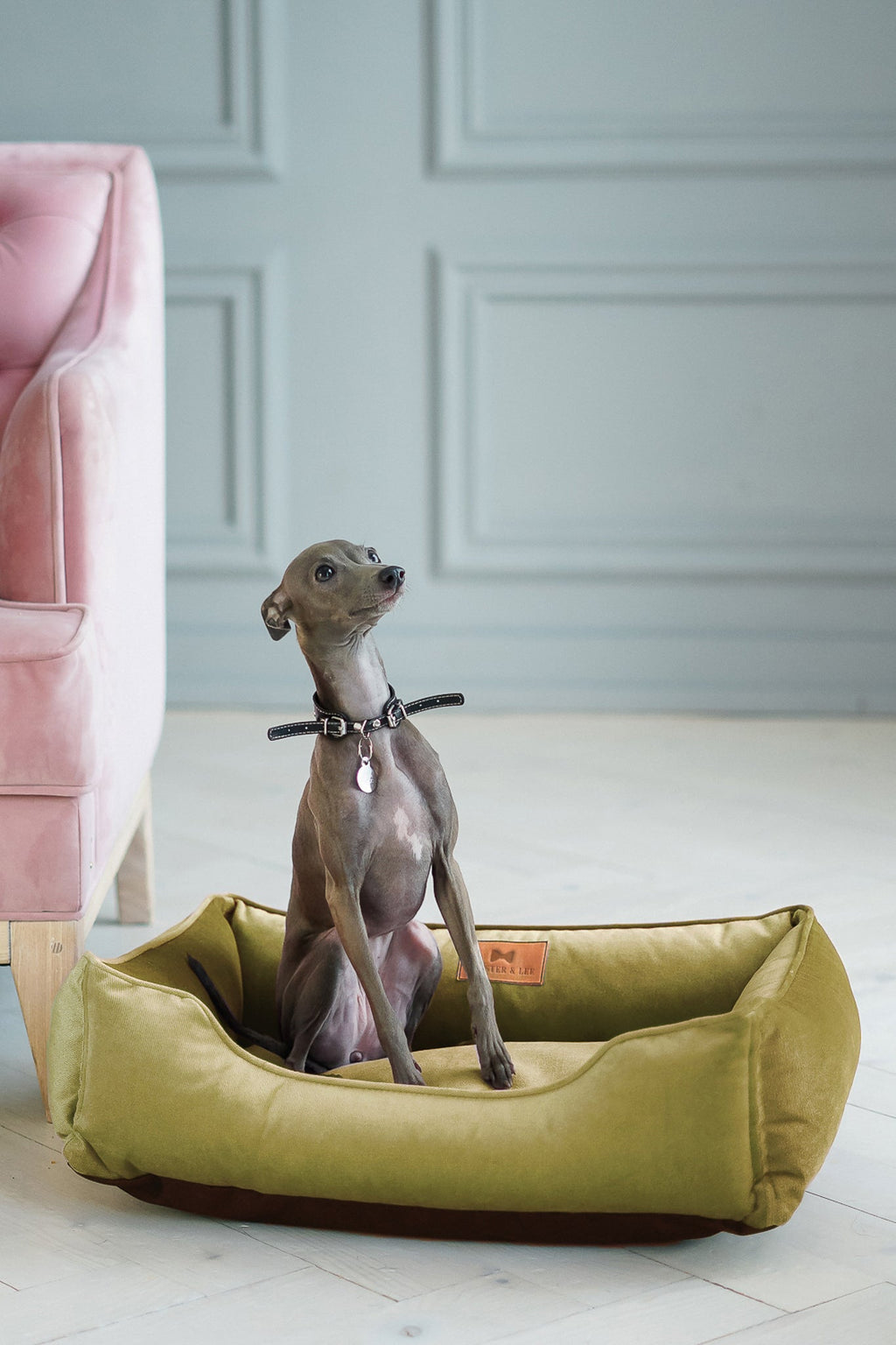 Chester & Lee | Vibrant Velvet Sleeper Dog Bed Olive