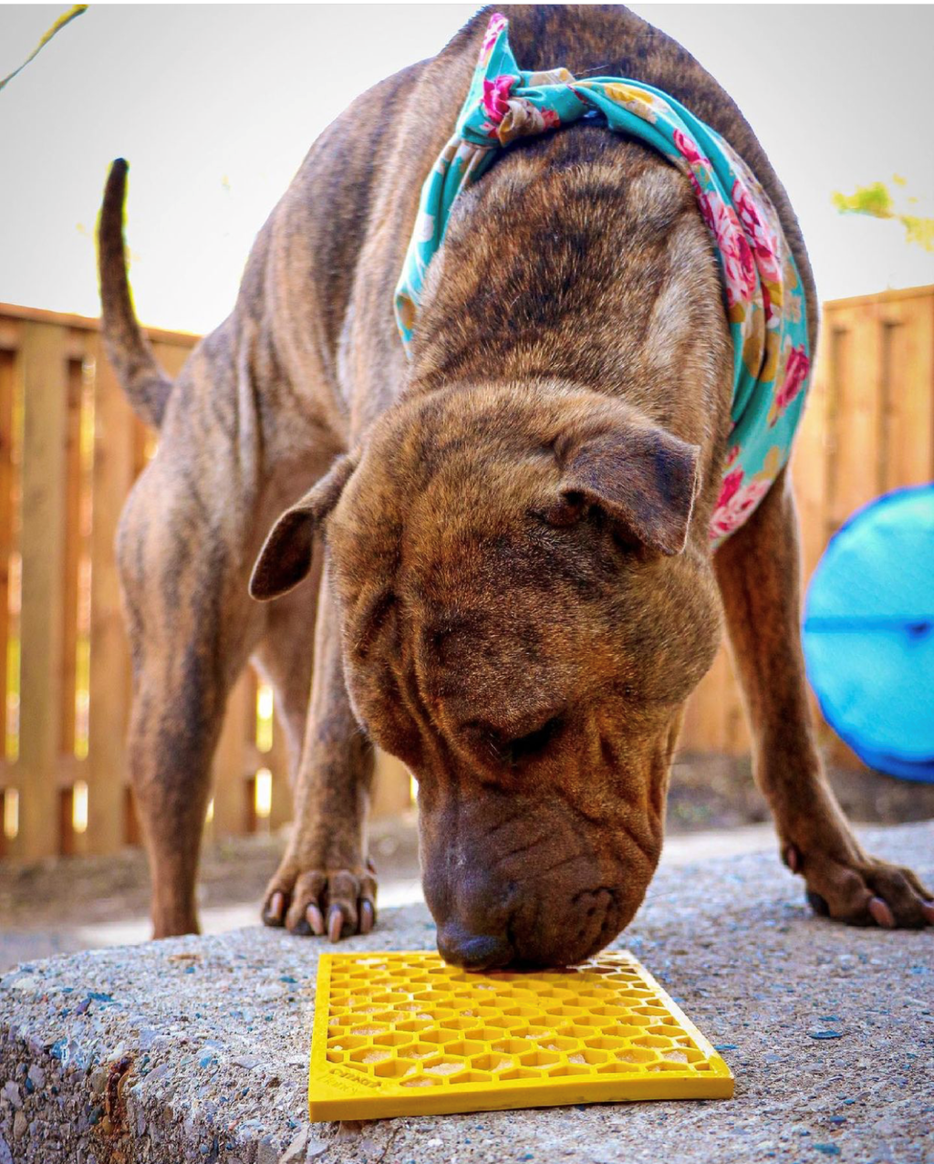 Honeycomb eMat - Enrichment Lick Mat for Dogs | eMat Enrichment Toy for Anxiety Relief | SodaPup