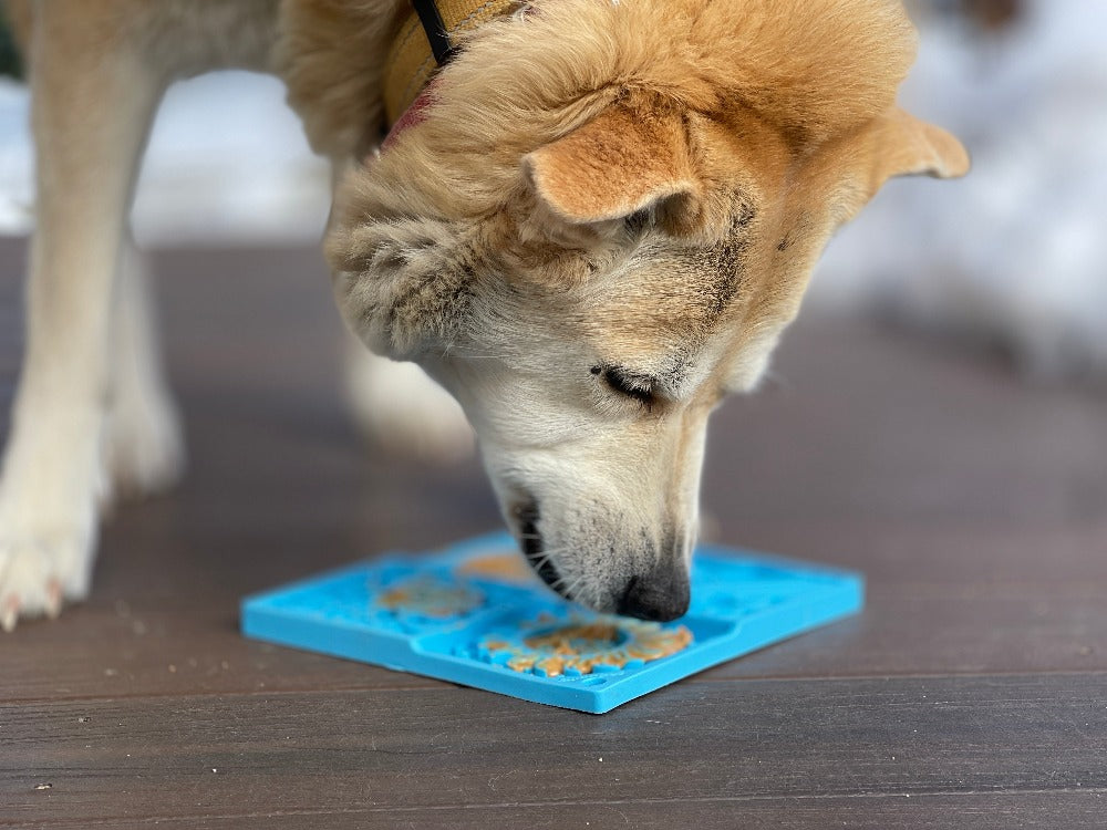 Sky eMat - Enrichment Lick Mat for Dogs | Celestial Design | SodaPup