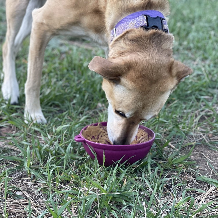 Garden of Eatin' Tipsy Bowl - Wobble Lick Mat for Dogs | USA Made