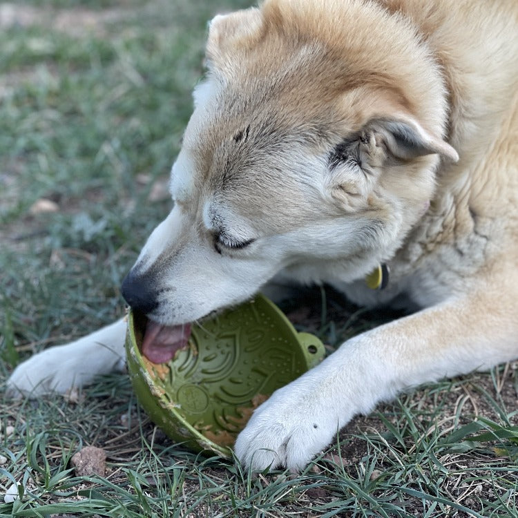 Garden of Eatin' Tipsy Bowl - Wobble Lick Mat for Dogs | USA Made