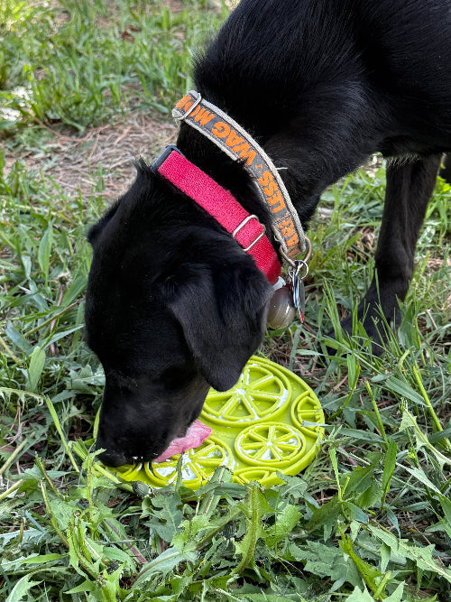 Citrus Design eMat - Enrichment Lick Mat For Dogs - with Suction Cups | USA Made