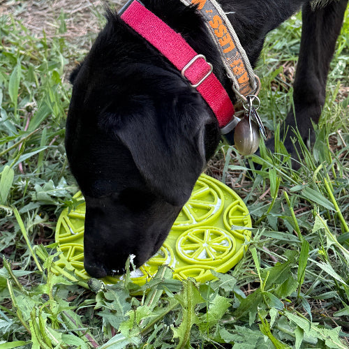 Citrus Design eMat - Enrichment Lick Mat For Dogs - with Suction Cups | USA Made