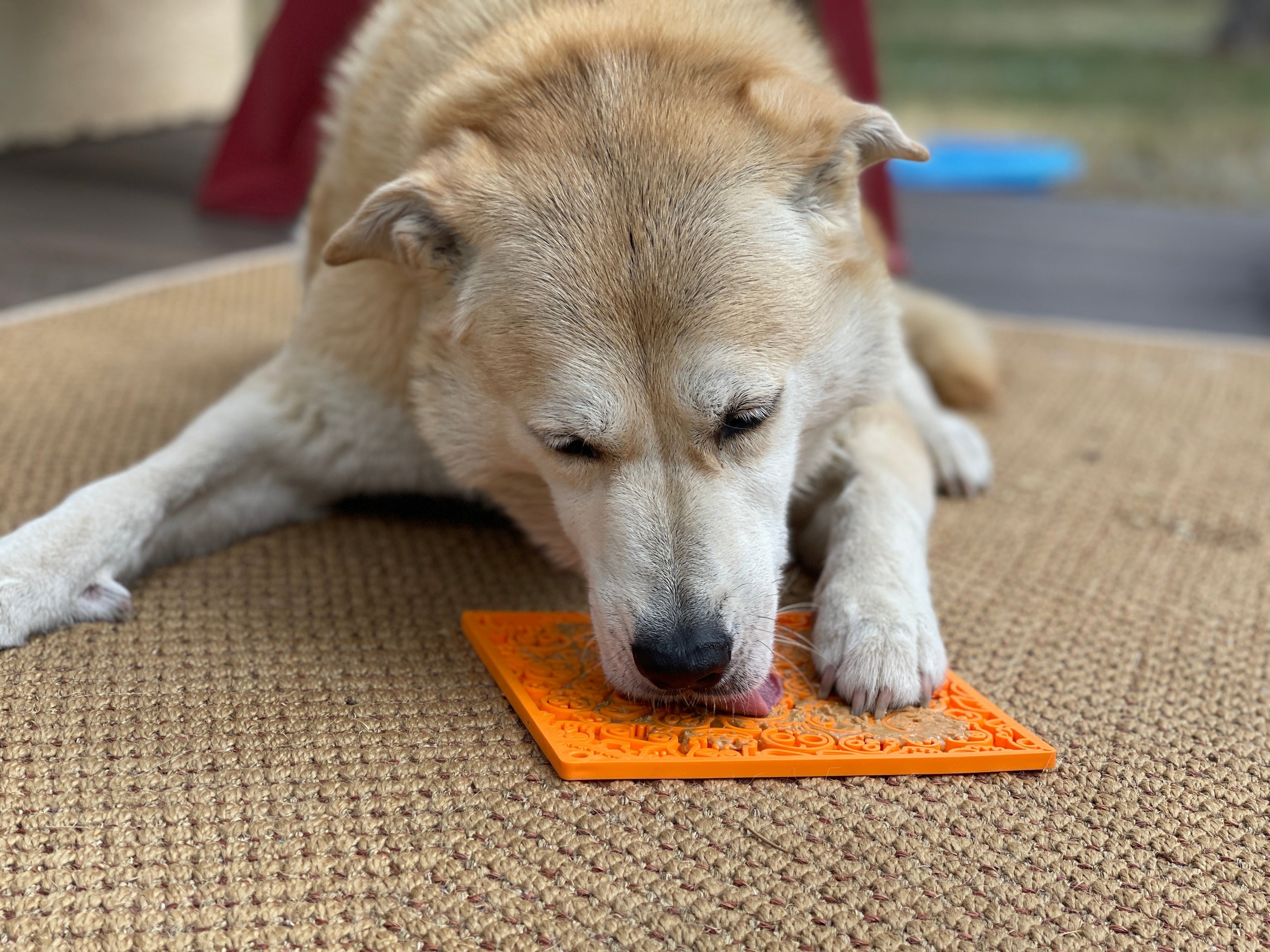 Zombie eMat - Enrichment Lick Mat for Dogs | Halloween Skull Design | SodaPup