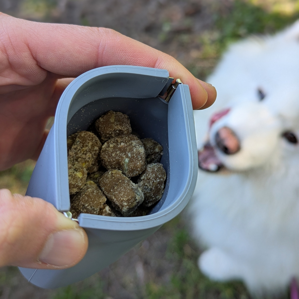 Up Dog Shop Silicone Dog Treat Training Pouch – One-Hand Squeeze Opening