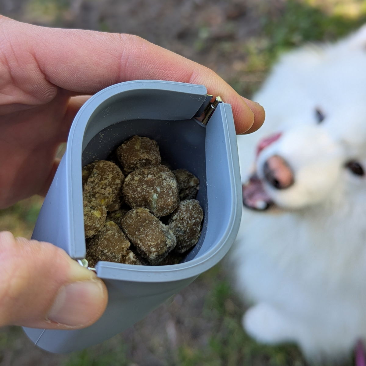 Up Dog Shop Silicone Dog Treat Training Pouch – One-Hand Squeeze Opening