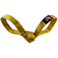 LUCKY DOG Golden Snitch Tug