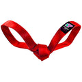 LUCKY DOG Love Bird Seatbelt Tug