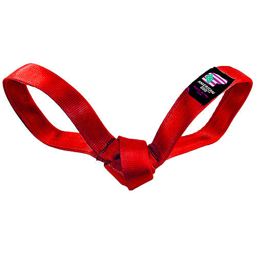 LUCKY DOG Love Bird Seatbelt Tug