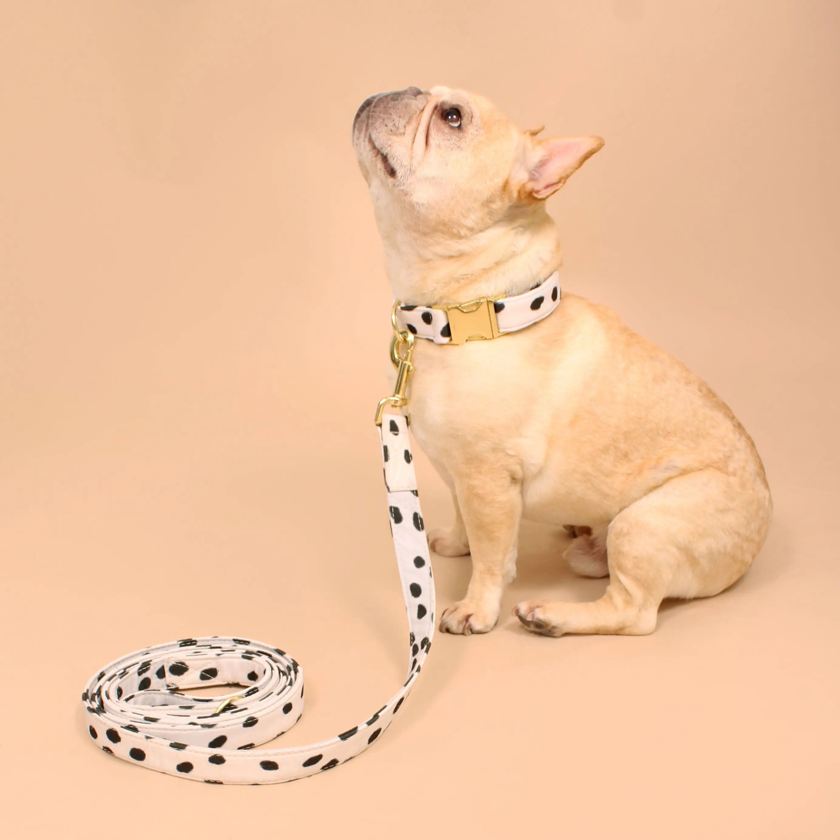 Manhattan Recycled Dog Leash