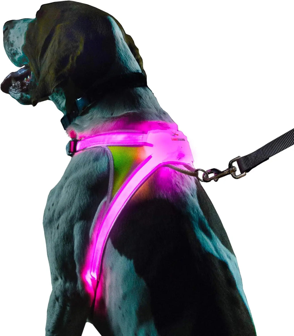 Lighthound LED Light-Up Dog Harness – USB Rechargeable Reflective Adjustable Safety Vest