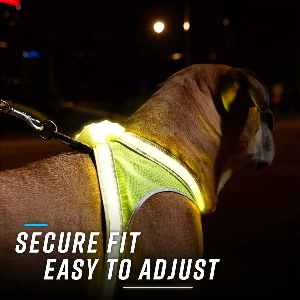 Lighthound LED Light-Up Dog Harness – USB Rechargeable Reflective Adjustable Safety Vest