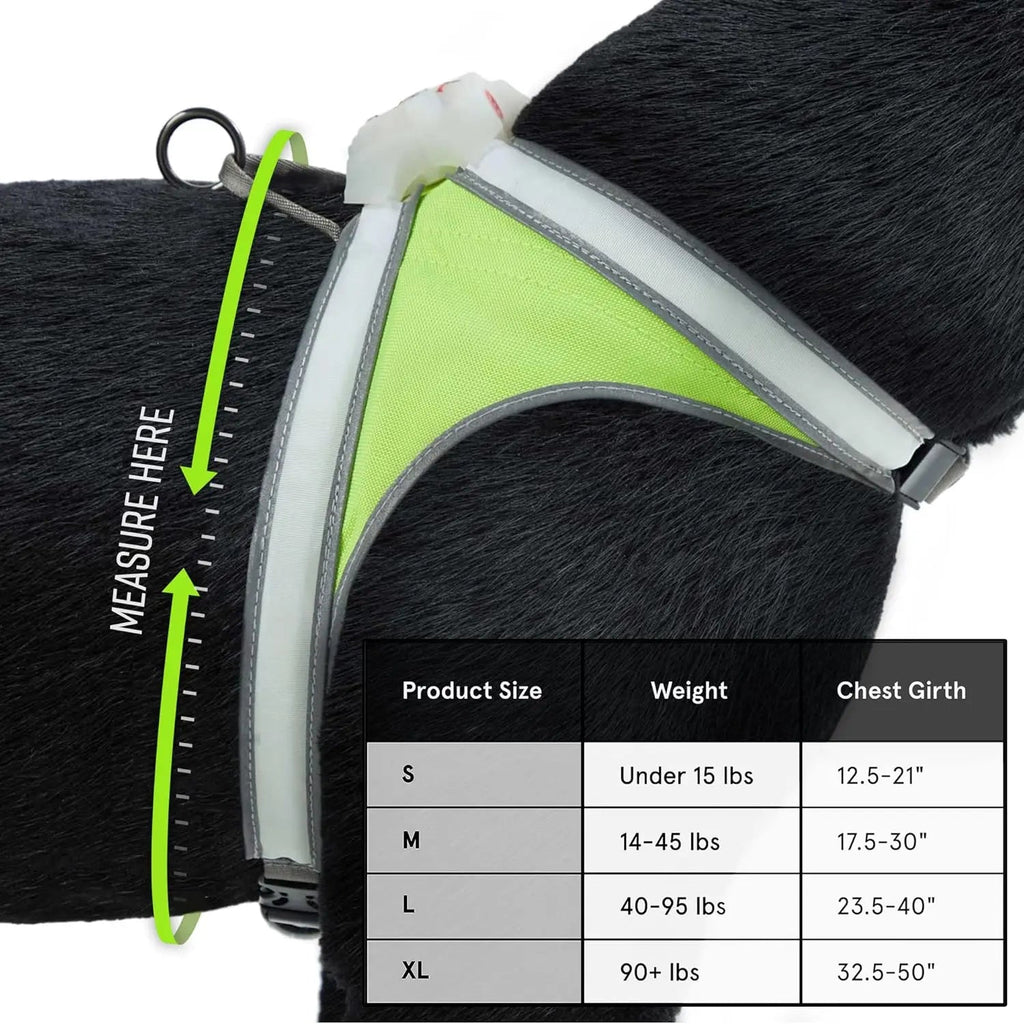 Lighthound LED Light-Up Dog Harness – USB Rechargeable Reflective Adjustable Safety Vest